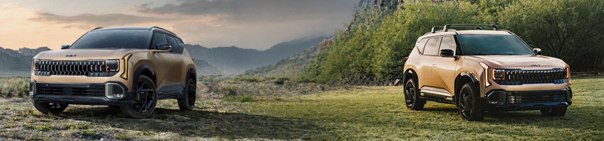 Kia Header Image
